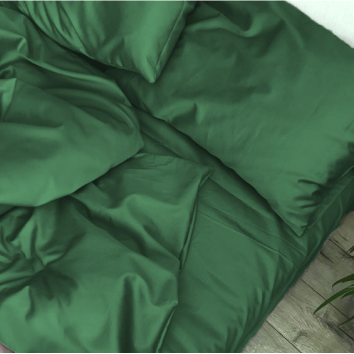 Комплект постільної білизни Satin Light Pro 10-009 Green Євро