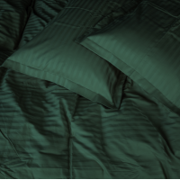 Комплект постільної білизни Satin Stripe 30-0017 Green Дитячий