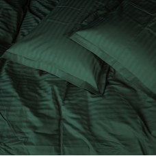 Комплект постільної білизни Satin Stripe 30-0017 Green Сімейний